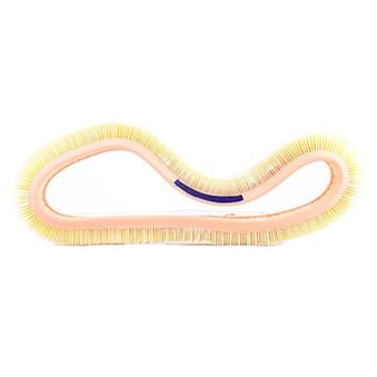 Filtre à air BSG OEM 5025058