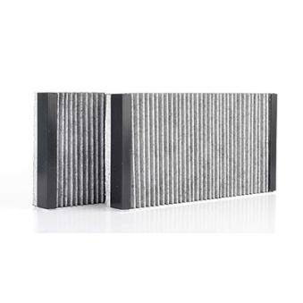 Filtre, air de l'habitacle BSG OEM 1648300218