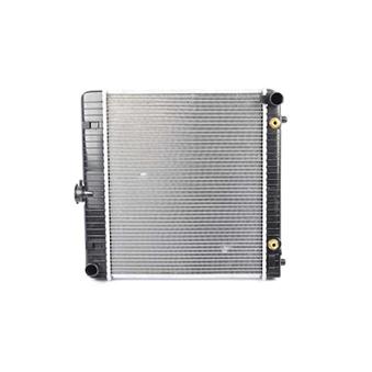 Radiateur, refroidissement du moteur BSG OEM 1235006003