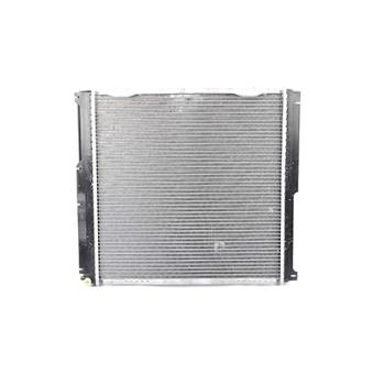 Radiateur, refroidissement du moteur BSG OEM 1245000203