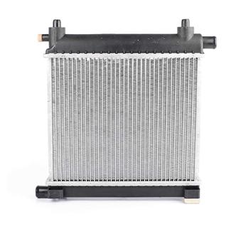 Radiateur, refroidissement du moteur BSG OEM 2015004603
