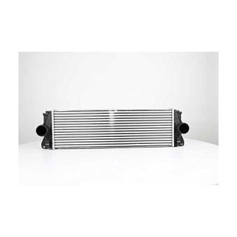 Intercooler, échangeur BSG BSG 60-535-007