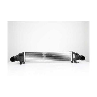 Intercooler, échangeur BSG BSG 60-535-009