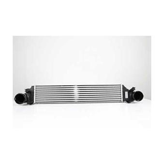 Intercooler, échangeur BSG BSG 60-535-012