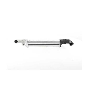 Intercooler, échangeur BSG BSG 60-535-016