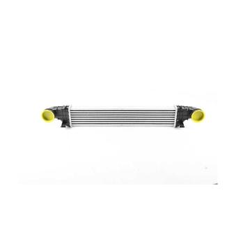 Intercooler, échangeur BSG BSG 60-535-021