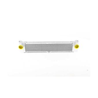 Intercooler, échangeur BSG OEM A6395010201
