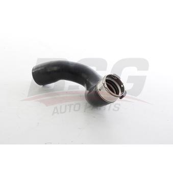Gaine de suralimentation BSG OEM 144608356R