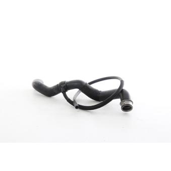 Durite de radiateur BSG BSG 60-720-262