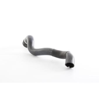 Durite de radiateur BSG BSG 60-720-300