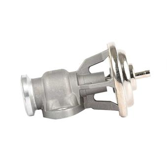 Vanne EGR BSG BSG 60-836-001