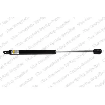 LESJOFORS 8105800 - Vérin de hayon, de coffre