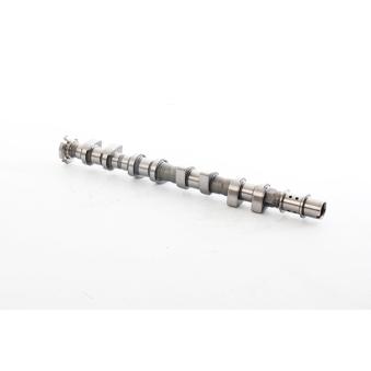 Arbre à came BSG OEM 55561747