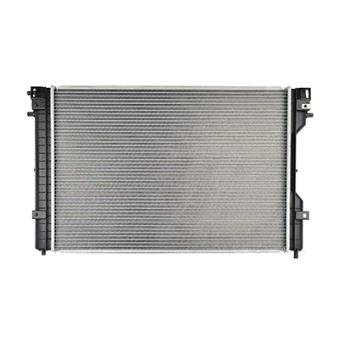 Radiateur, refroidissement du moteur BSG OEM 6302006