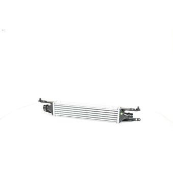 Intercooler, échangeur BSG OEM 55702004 Intercooler, échangeur BSG OEM 55702004