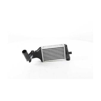 Intercooler, échangeur BSG OEM 1302413