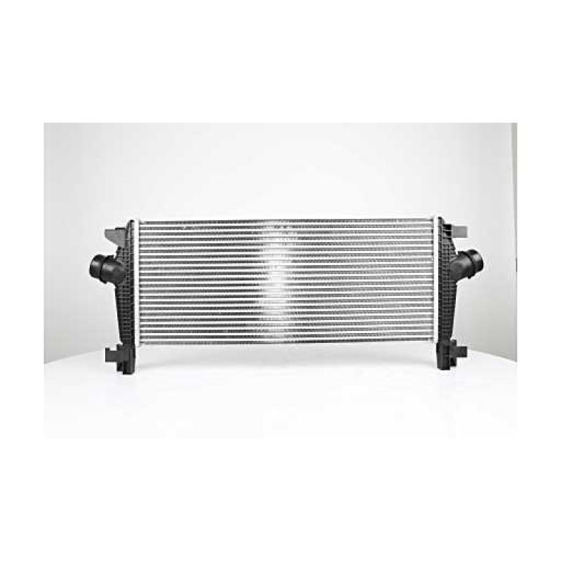 Intercooler, échangeur BSG BSG 65-535-005 - Visuel 1