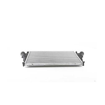 Intercooler, échangeur BSG OEM 6302065
