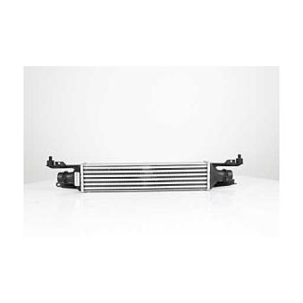 Intercooler, échangeur BSG BSG 65-535-012