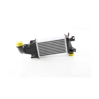 Intercooler, échangeur BSG [BSG 65-535-018]