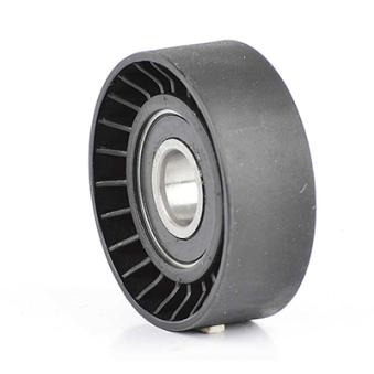 Tendeur, courroie trapézoïdale à nervures BSG OEM 55216459