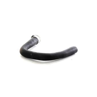 Gaine de suralimentation BSG OEM 5860033