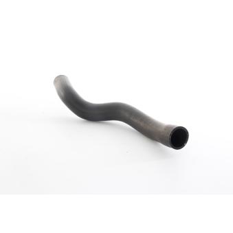 Durite de radiateur BSG BSG 65-720-021