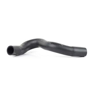 Durite de radiateur BSG OEM 1337361 Durite de radiateur BSG OEM 1337361