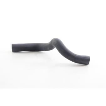 Durite de radiateur BSG OEM 1337840