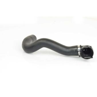 Durite de radiateur BSG OEM 1336028