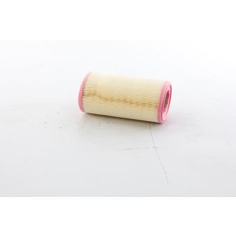 Filtre à air BSG OEM 165466F900