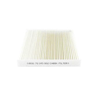 Filtre, air de l'habitacle BSG OEM E146068