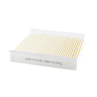 Filtre, air de l'habitacle BSG OEM 647962