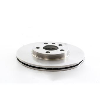 Jeu de 2 disques de frein avant BSG OEM 4249L4