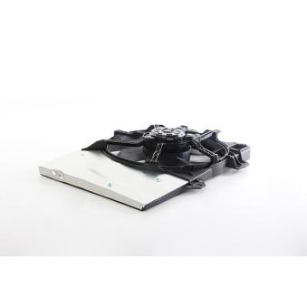 Ventilateur, refroidissement du moteur BSG OEM 1253H5