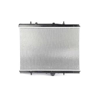 Radiateur, refroidissement du moteur BSG OEM 133064