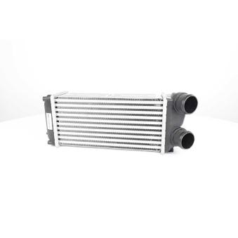 Intercooler, échangeur BSG OEM 0384H5