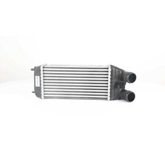 Intercooler, échangeur BSG BSG 70-535-006
