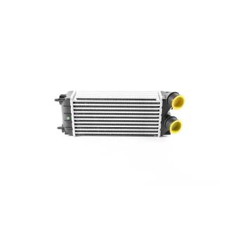 Intercooler, échangeur BSG BSG 70-535-009