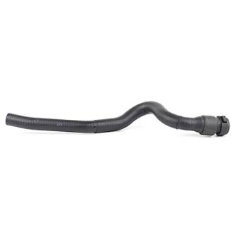 Durite de radiateur BSG OEM 6466CJ