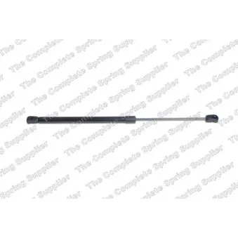 Vérin de hayon, de coffre LESJOFORS 8137252