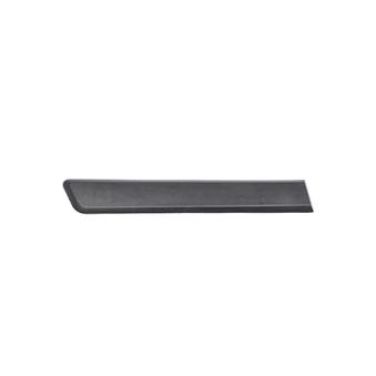 Baguette et bande protectrice, porte arrière droit BSG BSG 70-924-007