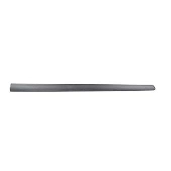 Baguette et bande protectrice, porte avant gauche BSG BSG 70-924-014