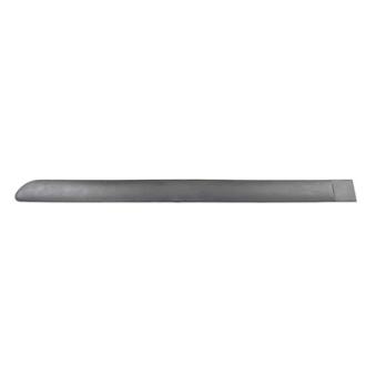 Baguette et bande protectrice, porte arrière gauche BSG BSG 70-924-016