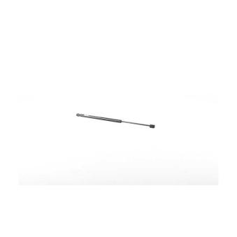 Vérin de hayon, de coffre BSG BSG 70-980-041