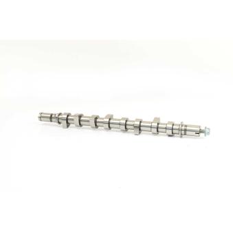 Arbre à came BSG BSG 75-108-003