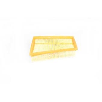 Filtre à air BSG OEM 165467780R