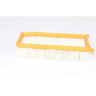 Filtre à air BSG OEM 165467674R