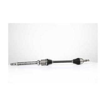 Arbre de transmission BSG OEM 391000262R Arbre de transmission BSG OEM 391000262R