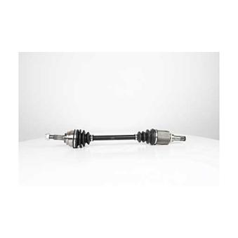 Arbre de transmission BSG OEM 391016613R